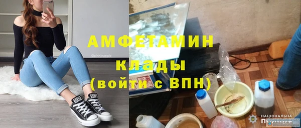 шишки Балахна