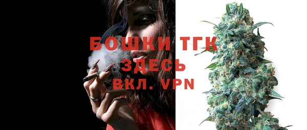 дурь Арсеньев