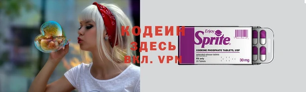 шишки Балахна