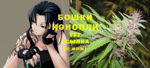 шишки Балахна