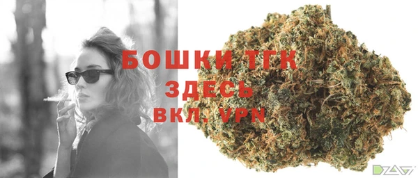 шишки Балахна