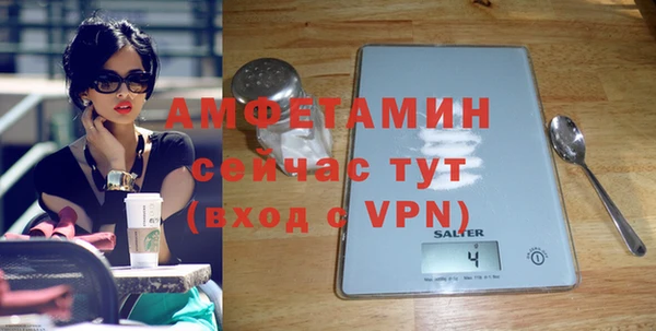 шишки Балахна
