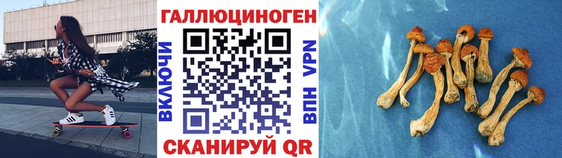 мега маркетплейс  Верхняя Салда  Галлюциногенные грибы Cubensis 