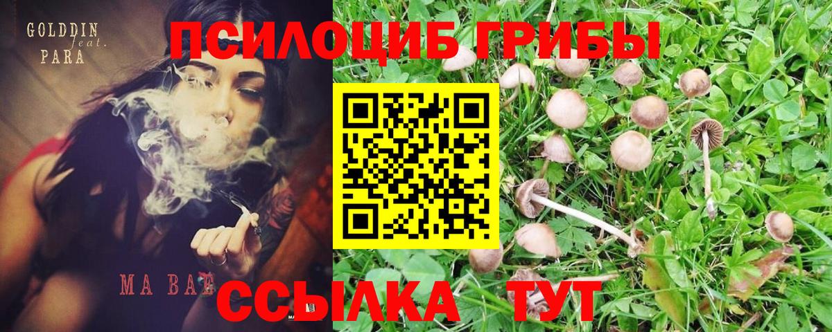 Галлюциногенные грибы Cubensis Верхняя Салда